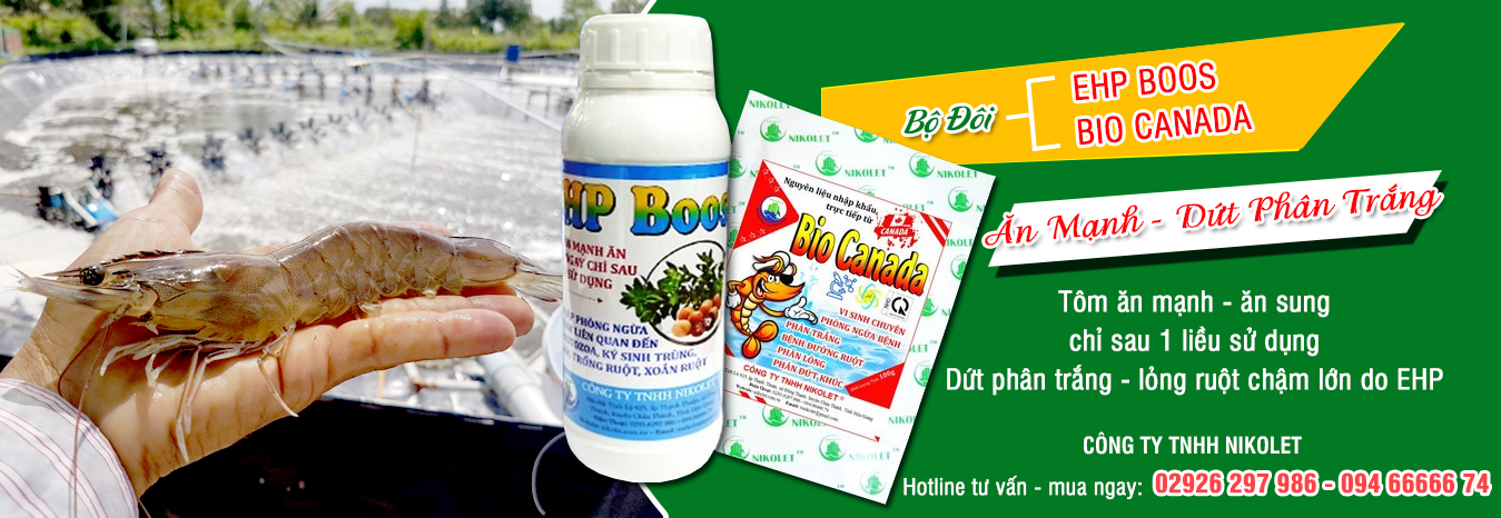 Bộ đôi ăn mạnh - dứt phân trắng