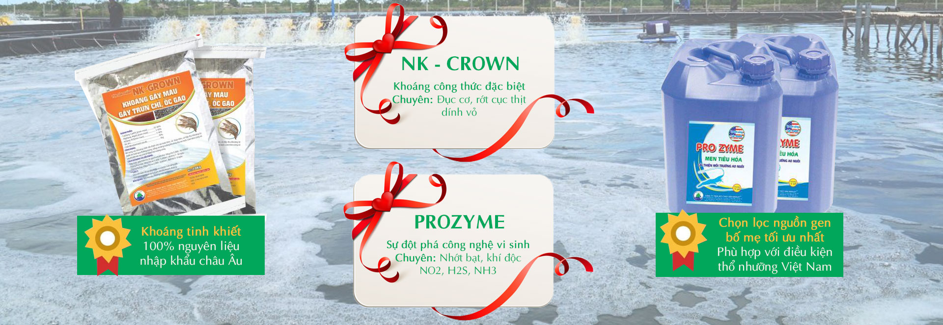 NK Crown và Prozyme