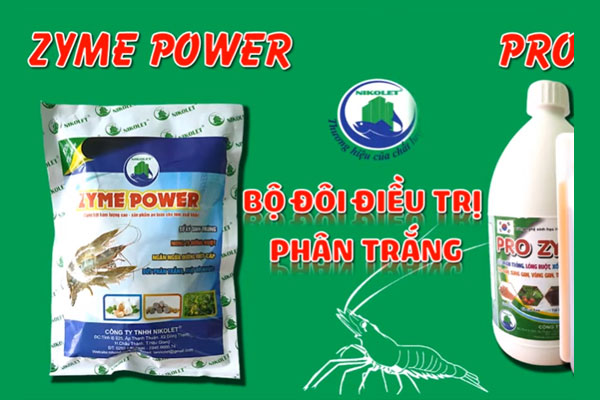 Điều trị phân trắng không lo chậm lớn